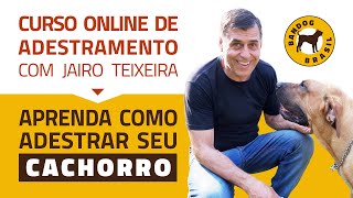 ðŸš€ LANÃ‡AMENTO Curso de Adestramento de CÃ£es com Jairo Teixeira  Certificado [upl. by Eiggep]