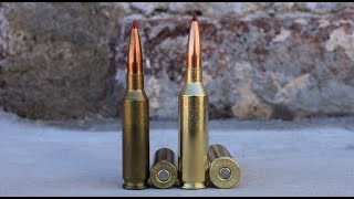 65 Precision Rifle Cartridge Full Profile  65 PRC vs 65 Creedmoor Comparison [upl. by Ogeid]