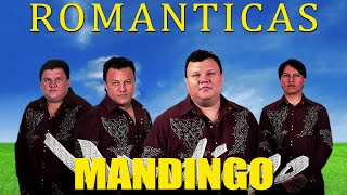 GRUPO MANDINGO  MIX DE CUMBIAS ROMANTICAS [upl. by Enneirdna]