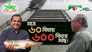 আইপিআরএস প্রযুক্তিতে ৬০ বিঘায় ৬০০ বিঘার মাছ  Shykh Seraj  Channel i [upl. by Mirisola]