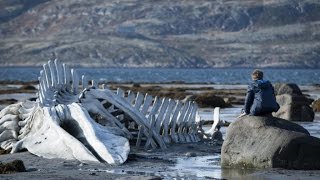 Mark Kermode reviews Leviathan [upl. by Stoddart]