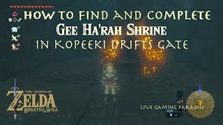 Breath of the Wild  Gee Harah Shrine  Kopeeki Drifts Gate Guide [upl. by Nyrhtakyram285]