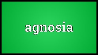 Agnosia Meaning [upl. by Rialcnis]