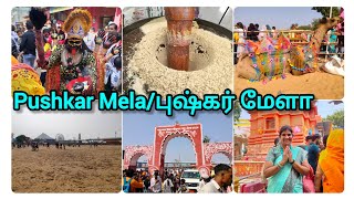 pushkar melaAjmer Rajasthan likesharesubscribe pushkarmela pushkarmelafair pushkarfair ajmer [upl. by Anayt]