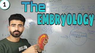 embryology 1  oral histology  عزت شومان [upl. by Howell691]