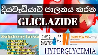 දියවැඩියාව පාලනය කරන Gliclazide  ග්ලික්ලසයිඩ් [upl. by Dirtsa280]