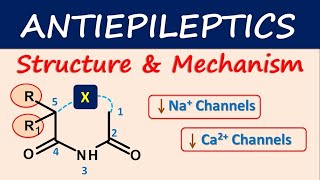 Antiepileptics Structure and mechanism [upl. by Gnahc894]