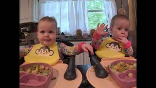 Twins try Scottish stovies [upl. by Catherina]