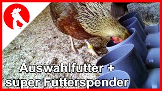 009 Auswahlfutter für Hühner  Bau der Futterspender  free choice feeding chicken [upl. by Carlin]