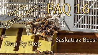 How To Install a Package of Honey Bees Setting up your first hive step by step [upl. by Eelynnhoj]