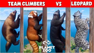 Planet Zoo Animals Climbing Race  Binturong Wolverine Red Panda vs Snow Leopard [upl. by Donahoe]