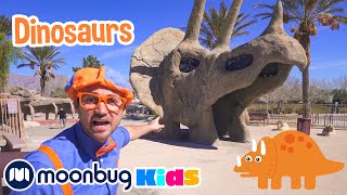 Blippi Visits Dinosaur Exhibition to Learn About Eggs and Fossils  Jurassic Tv [upl. by Lazar]