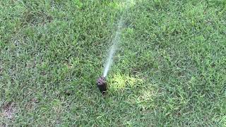 2009 Rain Bird Sprinkler System Testing For 2024 [upl. by Aleahs]