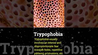 Trypophobia  Types of PHOBIAS ytshorts phobia trypophobia [upl. by Curzon663]