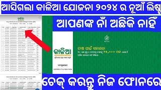 How to check Kalia yojana 2024 new list  2024 ra Kalia yojana nua list kamiti check Kariba odia ✅ [upl. by Iggam]