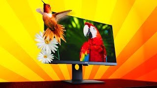 Best Designer Monitor  BENQ PD2700U 4K IPS Monitor Review [upl. by Burne]