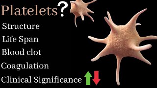 Platelets structure  Function  clinical significance  Blood coagulation  Blood clot [upl. by Neltiac671]