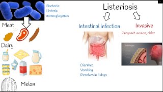 listeriosis  Symptoms and treatment Listeria monocytogenes [upl. by Blondell630]