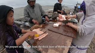 Drying and Storing a Whale for Food—Traditional Knowledge [upl. by Annenn735]