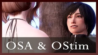 OSA and OStim NG Installation Guide [upl. by Eddy]