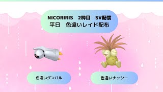 【ポケモンSV】色違いダンバル・色違いナッシーレイド配布 [upl. by Ledua744]