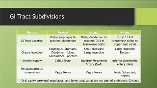 Foregut Midgut and Hindgut [upl. by Ayotel]