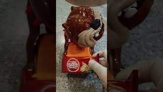 Mad Dog 🐶 Dont ever try to get his Munchys Cream Crackers 😅✌️ shortsfeed shortvideo asmr [upl. by Inahc]