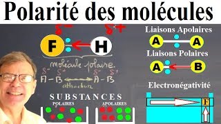 Polarité des molécules  liaisons et charge partielle [upl. by Atsedom]