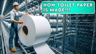 How Toilet Paper is Made  Factorify [upl. by Eidolem]