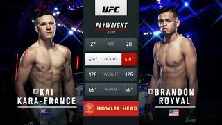 UFC 253 Royval vs KaraFrance Full Fight Highlights [upl. by Cagle]