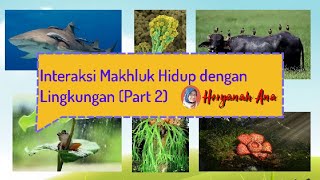 Interaksi Makhluk Hidup Dengan Lingkungan Part 2 [upl. by Assela]