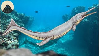 When Crocodiles Swam The Oceans [upl. by Anastas]