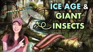 Carboniferous Climate amp the Ice Age amp Giant Insects that Resulted  GEO GIRL [upl. by Ytsirhk967]