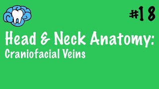 Head amp Neck Anatomy  Craniofacial Veins  INBDE [upl. by Anide]