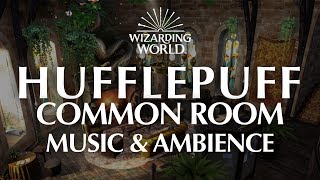 Hufflepuff Common Room  Harry Potter Music amp Ambience  4 Magical Scenes for Relaxation and Focus [upl. by Matelda]