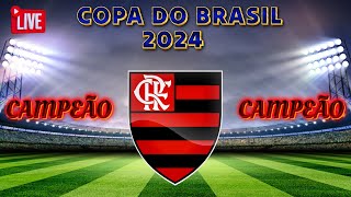 Flamengo Campeão do Brasil Melhores Momentos [upl. by Fast]