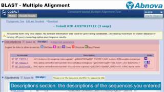 BLAST  Multiple Alignment [upl. by Giffer]