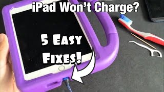 iPad Wont Charge 5 Easy Fixes [upl. by Arlette]