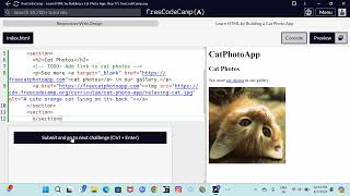 Responsive Web Design Learn HTML by building a cat photo step 17 [upl. by Dione752]