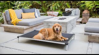 K9 Ballistic Chew Proof Elevated Dog Bed™ [upl. by Nivert]