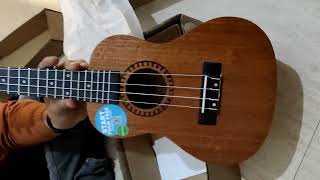 Kadence Ukulele  Concert size 23  Unboxing Best Ukulele to buy in India for Beginners [upl. by Hawthorn160]