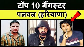 Palwal News Live  Top 10 Gangster in Palwal Haryana [upl. by Hairym457]