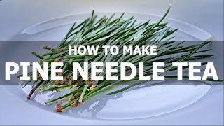 How to Make Pine Needle Tea [upl. by Ecnerat131]