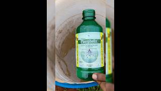 Phosphate solubilizing bacteria iplfert phospahte organicfarming tamilagriculture [upl. by Erot541]