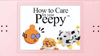 How to Care for your Peepy [upl. by Eelahs]