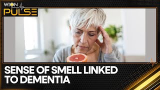 Is sense of smell linked to cognitive health  WION Pulse [upl. by Gaulin]