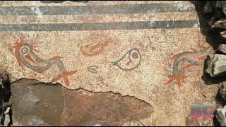 Mosaic buried for thousands of years uncovered by archaeologists [upl. by Fifine]