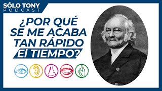 Explicación de la ley de Weber en 3 minutos [upl. by Llenwahs54]