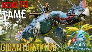 GIGANTORAPTOR EASY amp QUICK Taming Guide ARK Survival Ascended [upl. by Vita770]