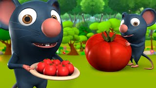 Chuha Aur Tamatar 3D Animated Hindi Moral Stories for Kids चूहा और टमाटर Rat Panchatantra Tales [upl. by Norel]